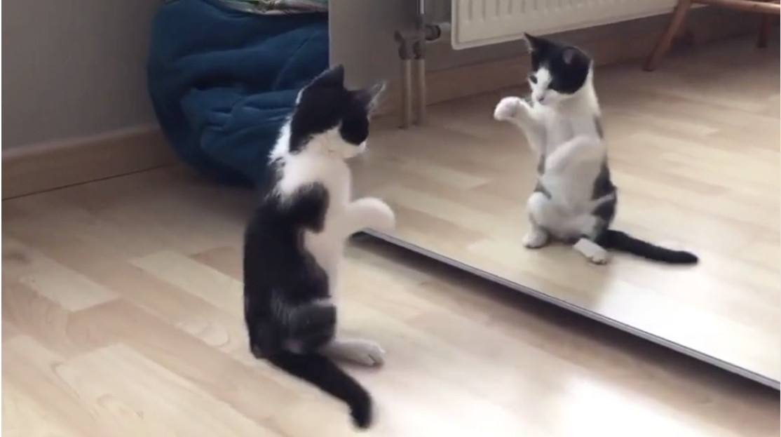 微信圖片_20181217164513.jpg 微信圖片_20181217164513.jpg