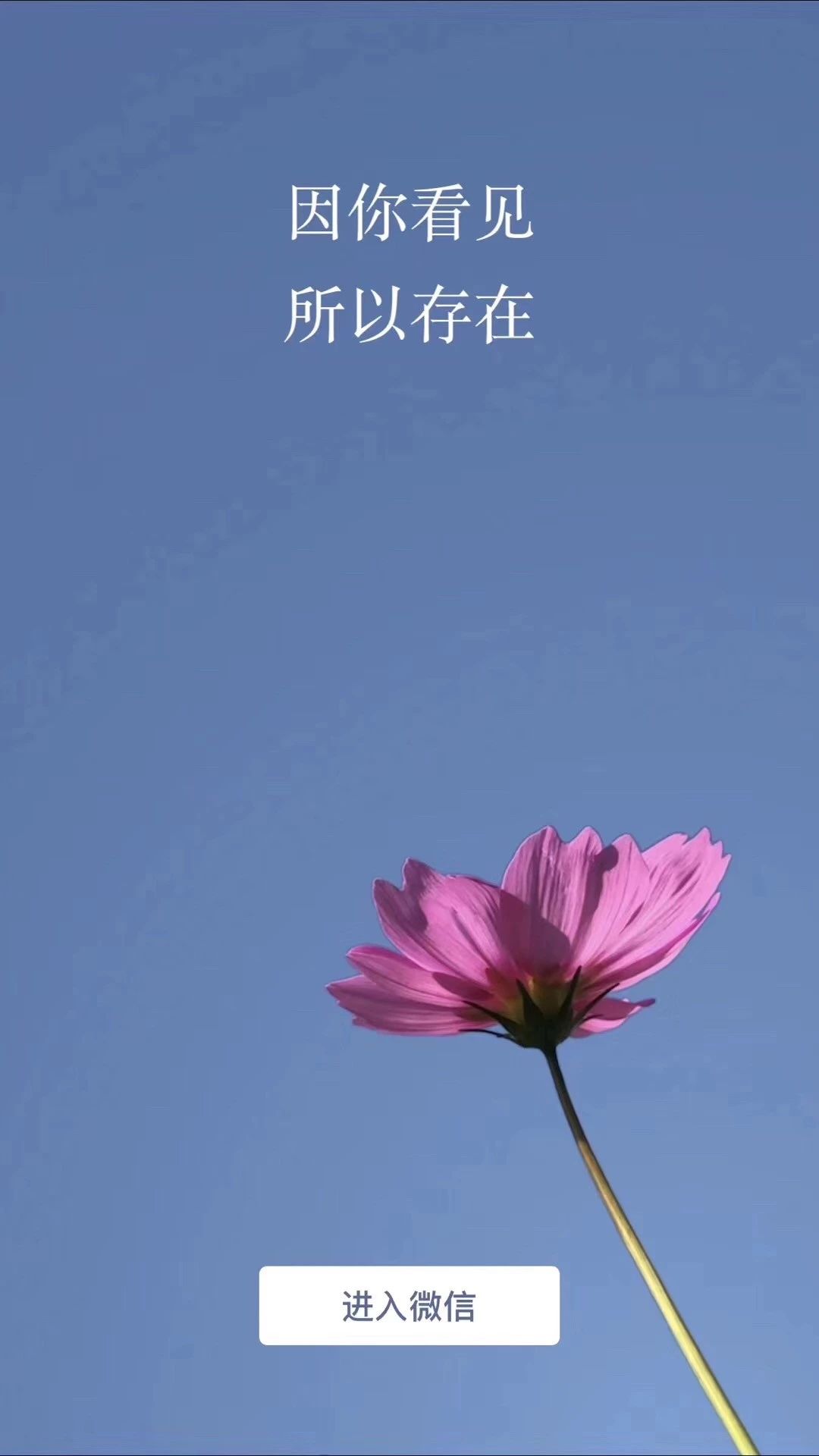 微信圖片_20181224170114.jpg 微信圖片_20181224170114.jpg