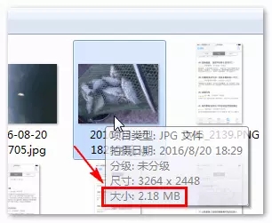 16712ccd52801ff6.webp.jpg 16712ccd52801ff6.webp.jpg