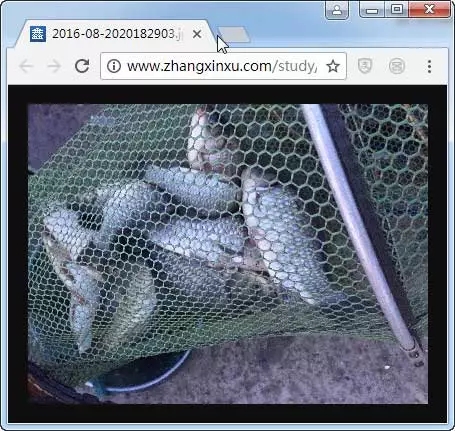 16712ccd4d0faadd.webp.jpg 16712ccd4d0faadd.webp.jpg