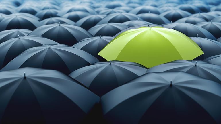 Website-cover-page.jpg Website-cover-page.jpg