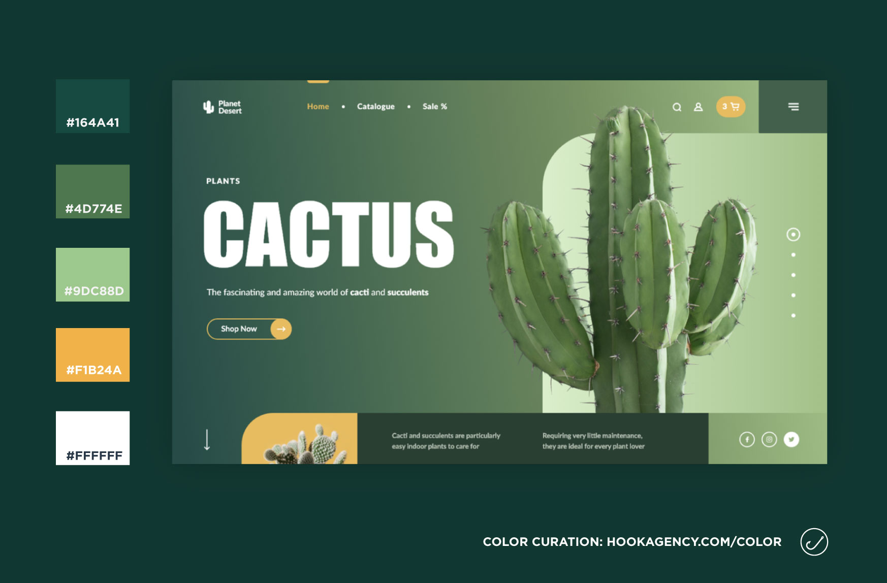 cactus-greenery-yellow-website-design-color-scheme-inspiration-2021-current-year-1.jpg
