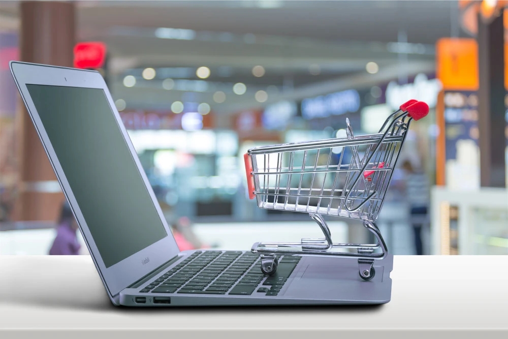 1000.webp.jpg 1000.webp.jpg